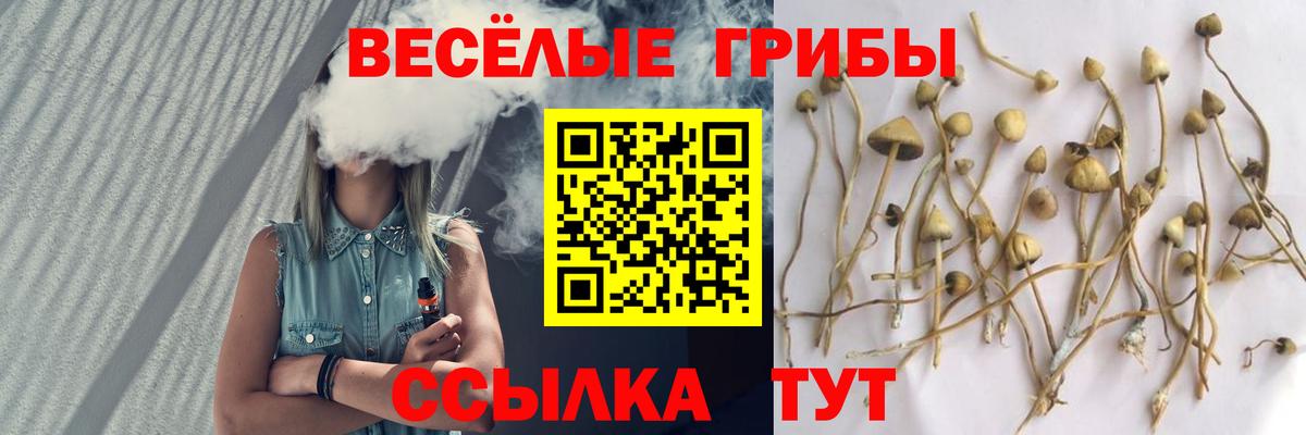 Кодеин Белгород