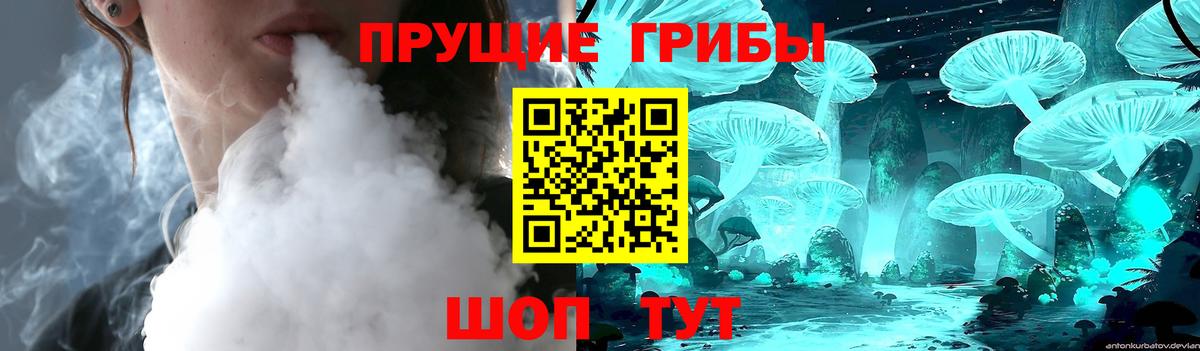 Псилоцибиновые грибы Psilocybine cubensis  Галлюциногенные грибы мухоморы  Вход с VPN  Белгород 